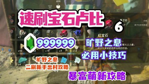 卢比手速快运行截图