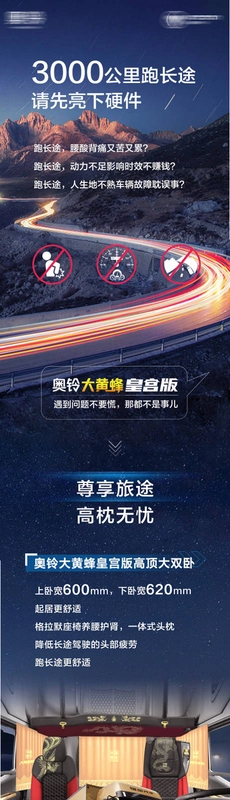 Truckers Brasil Online运行截图
