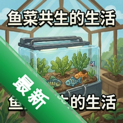 鱼菜共生的生活