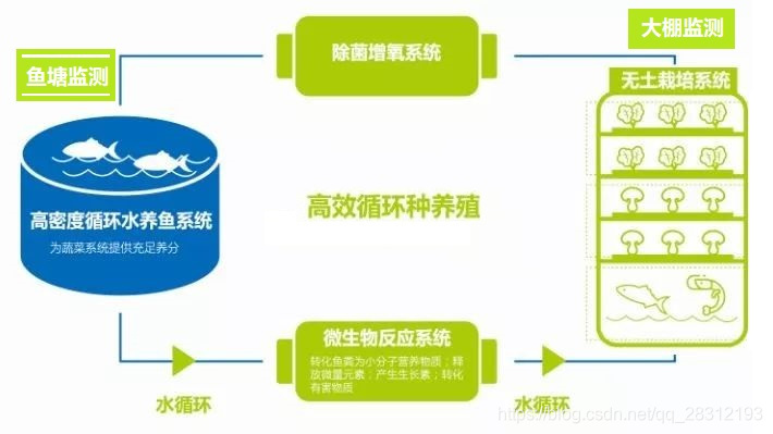 鱼菜共生的生活运行截图