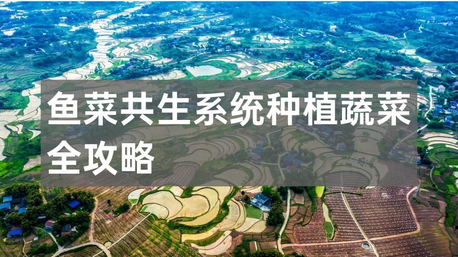 鱼菜共生的生活运行截图