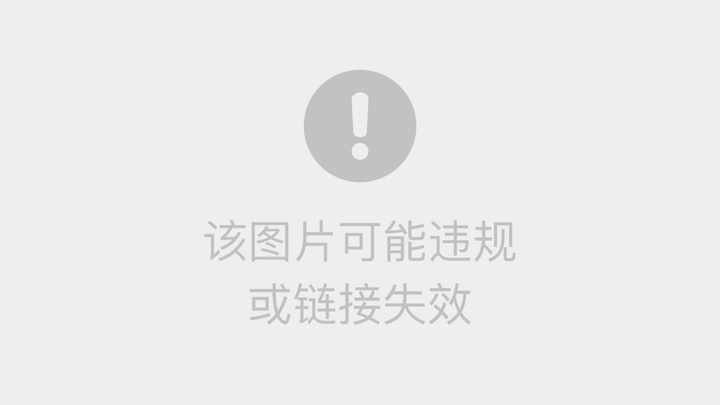 Gravity Override 下载安装 教程