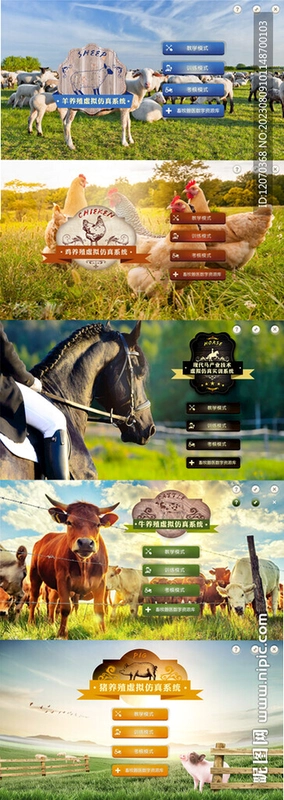 Real wild animal hunting运行截图