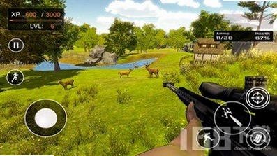 Real wild animal hunting运行截图