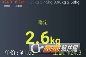 FURI电子秤智能称重记录系统