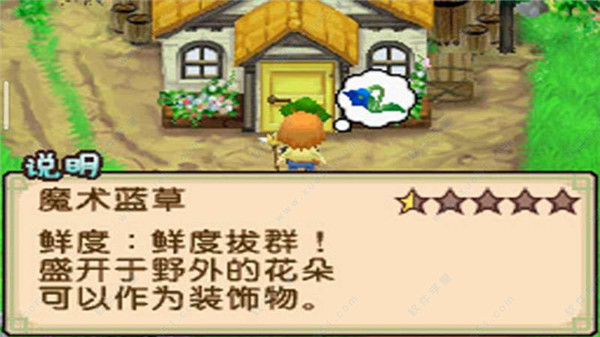 牧场物语双子村运行截图