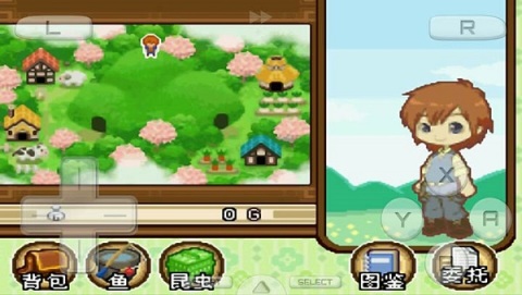 牧场物语双子村运行截图