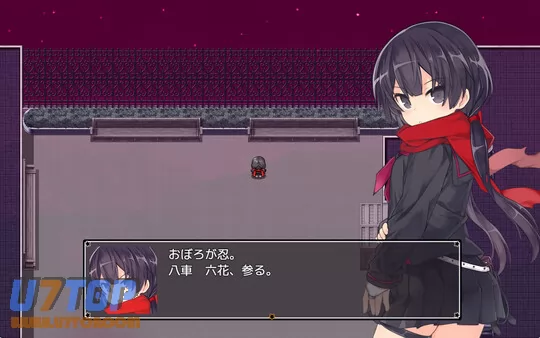 神速的亚丽莎 pc版运行截图
