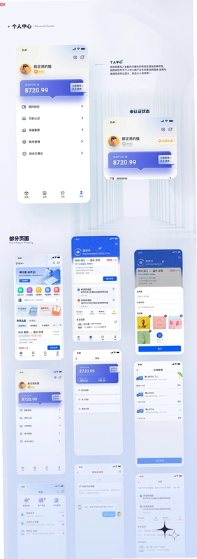 昆仑智运-服务商运行截图