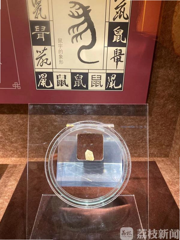 小藏鼠 特色玩法