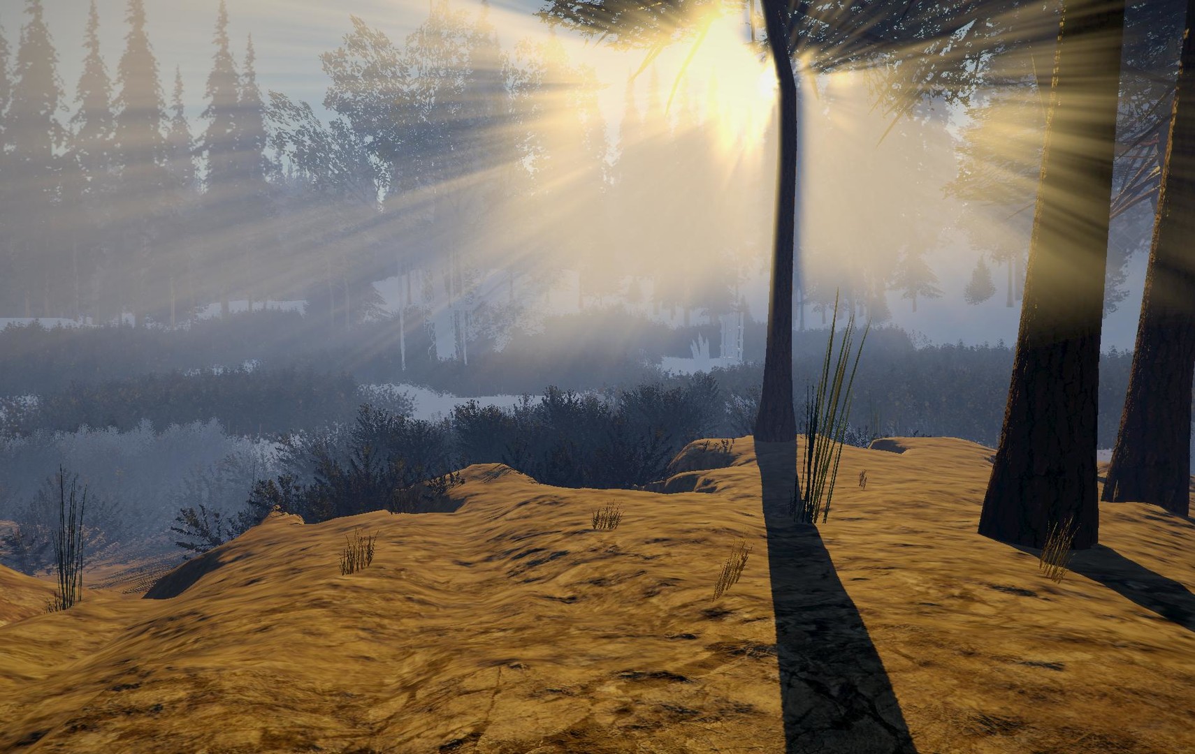 魔鬼的感觉 pc版 v1.0