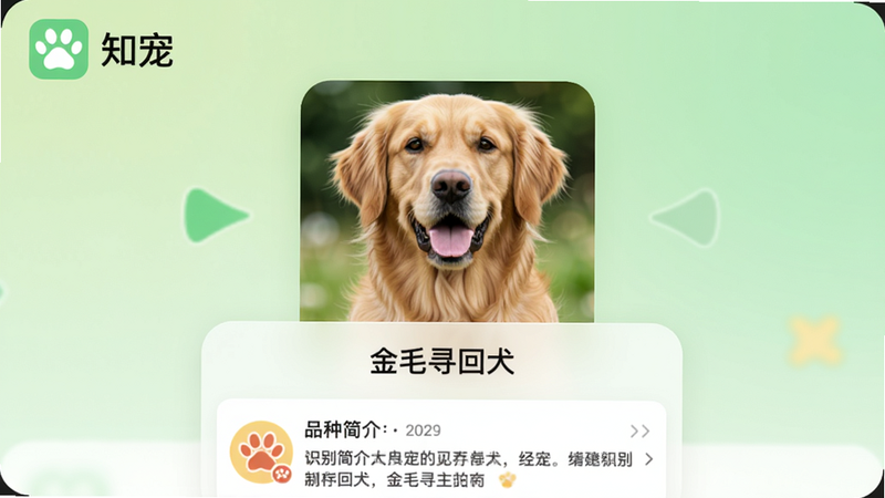 一张展示知宠App主界面的截图,画面中央是一只可爱的金毛犬照片,下方显示识别结果“金毛寻回犬”以及品种简介卡片,背景为柔和的浅绿色渐变,左上角有知宠logo,整体风格清新明亮,适合Boogu模型生成。