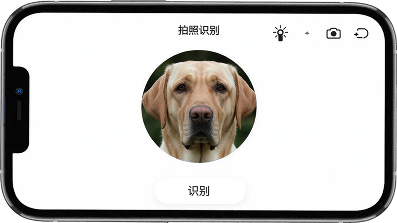 一张手机屏幕截图,显示知宠App的“拍照识别”界面,中间有一个圆形取景框,框内有拉布拉多犬的头部特写,右上角有闪光灯和翻转摄像头图标,底部为白色识别按钮,整体界面简洁,背景为纯白色,适合Boogu模型生成。