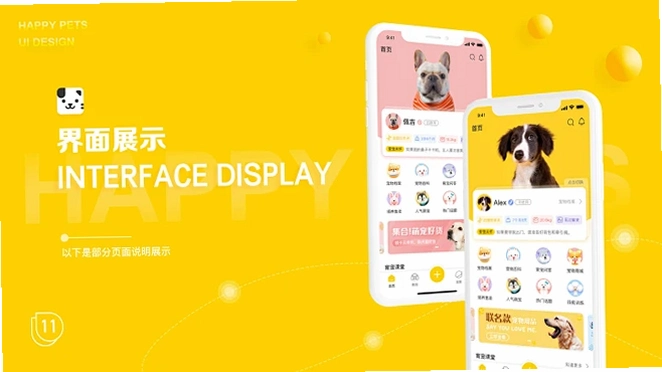 知宠运行截图