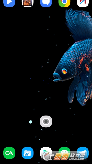 betta fish(苹果斗鱼动态壁纸) betta fish(苹果斗鱼动态壁纸)