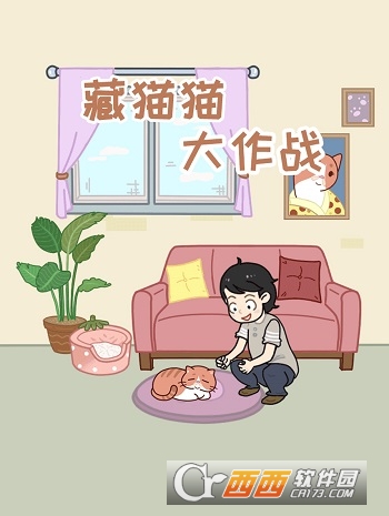 藏猫猫大作战 藏猫猫大作战