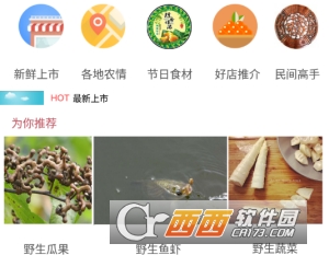 城乡桥