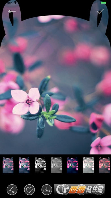 ���˱�ֽapp