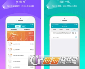 初级审计师准题库app