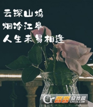 Pic图片加文字