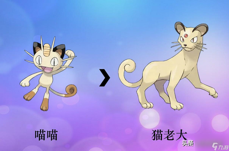 精灵宝贝 宠物进化 截图