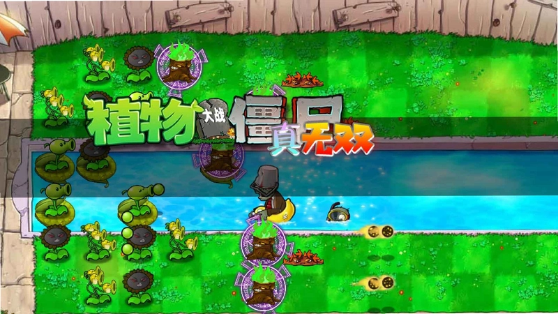 植物大战僵尸杂交重制版(PC电脑版)运行截图