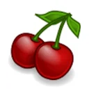 CherryTreev1.7.1.0 免费开源笔记软件