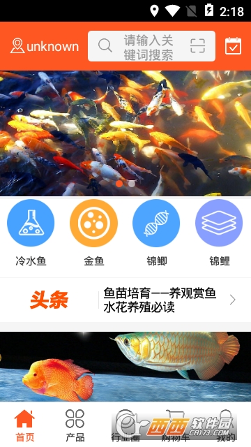 中国观赏鱼平台 中国观赏鱼平台