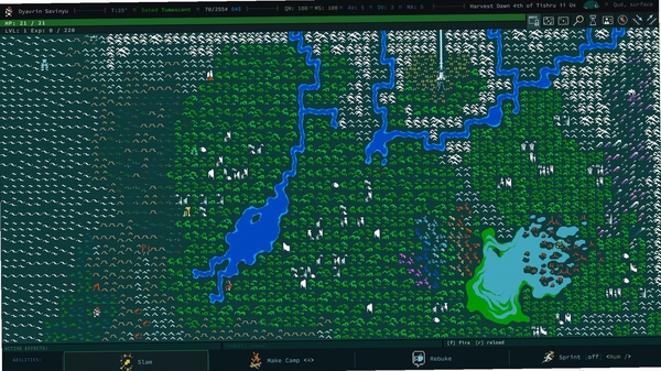 Caves of Qud 配置要求