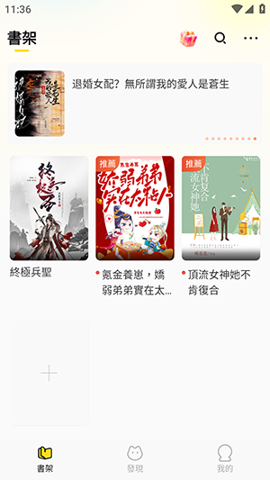 骑猫小说运行截图