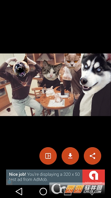 Animal Stickers(动物贴纸)app