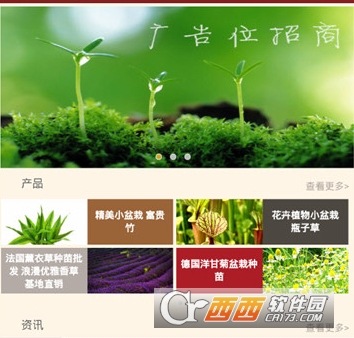 中国花卉苗木网"/