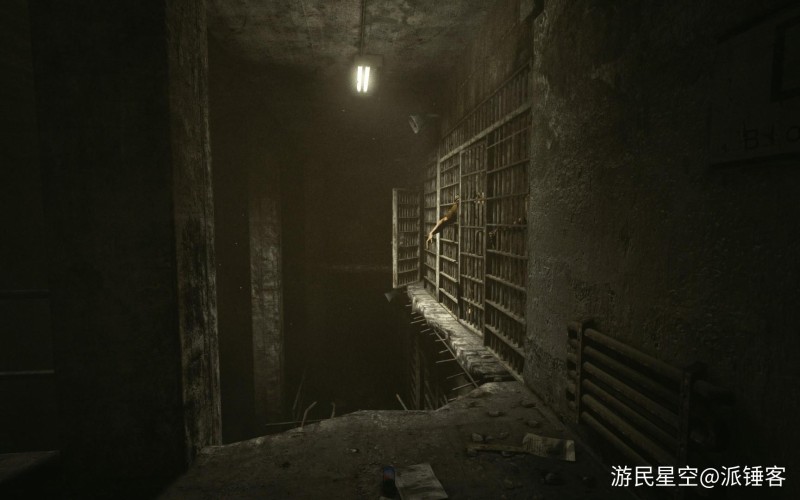 救赎墓园9:惊悚夜 pc版运行截图