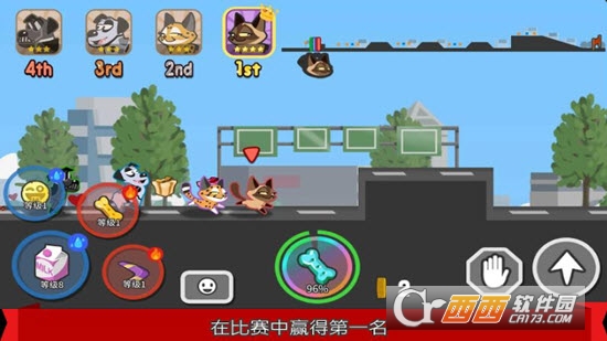 Pets Race��������