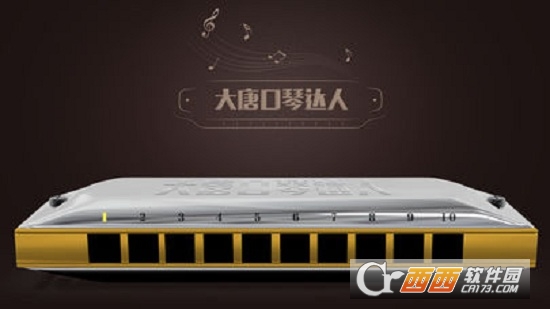 大唐口琴达人app