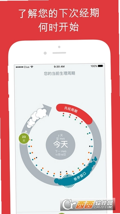 Clue运行截图