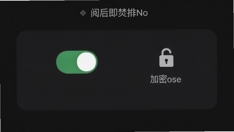 聊一会隐私保护界面截图,展示阅后即焚开关与加密锁图标,背景为深色护眼模式,简洁安全提示文字