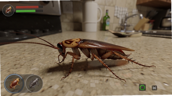 A realistic digital simulation of a cockroach on a kitchen counter, detailed texture, game interface, high quality, Boogu model