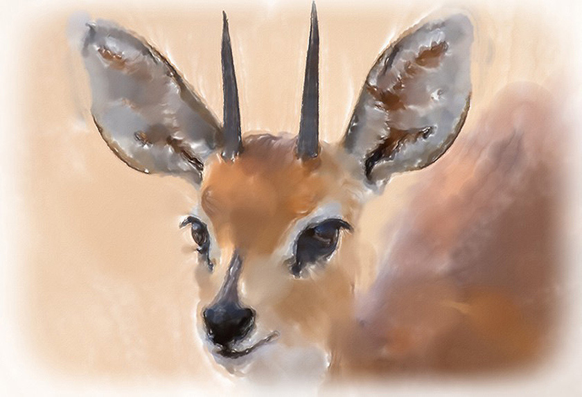 Watercolor Painting from Photo