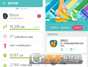 Fitbit健康追踪 Fitbit健康追踪