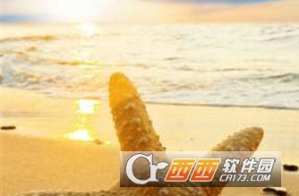 端午节假日天气"/