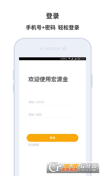 宏源金 宏源金