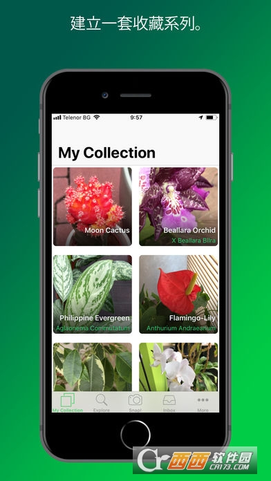 PlantSnap app