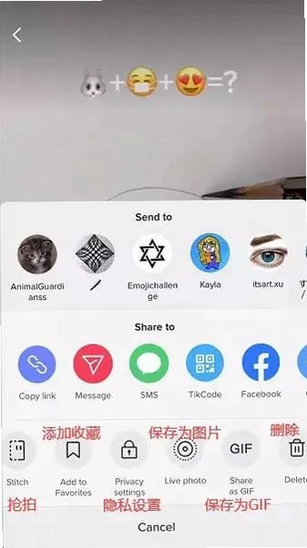 TikTool运行截图