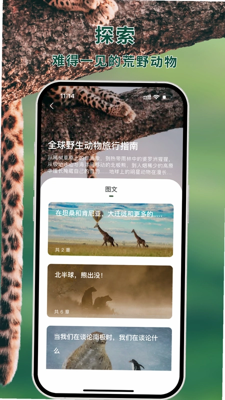熊猫客运行截图