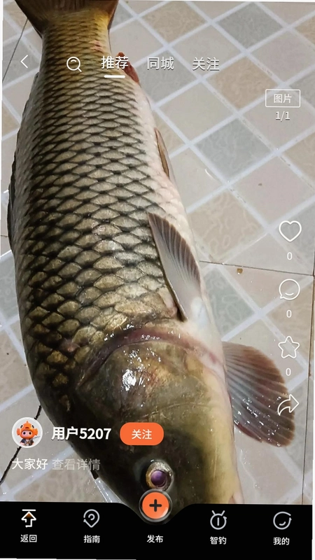 小红鱼运行截图