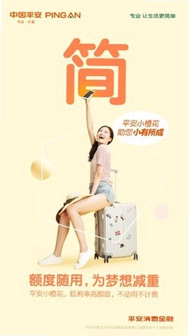 平安消费金融运行截图