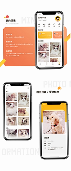 小闻养宠助手运行截图