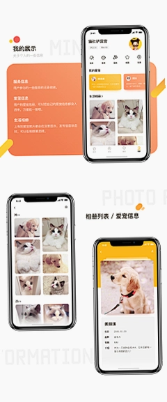 小闻养宠助手运行截图