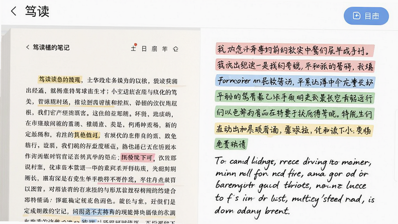 笃读的笔记页面,左侧是书籍原文,右侧是彩色标注和手写内容,顶部有导出按钮,整体界面清爽专业。